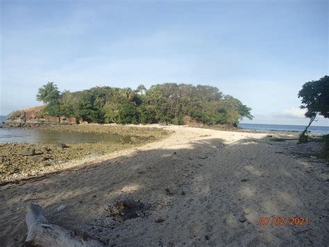 Botanical Survey of Lorelei Island – Wild Bird Club of  .
